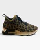 Lurce 01 Leopard Maculato