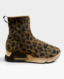 Lio 01 Leopard Maculato