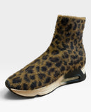Lio 01 Leopard Maculato
