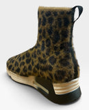 Lio 01 Leopard Maculato