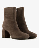 Eclat 03 Africa Grey