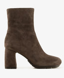 Eclat 03 Africa Grey