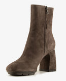 Eclat 03 Africa Grey