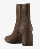 Eclat 03 Africa Grey