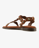 Phanny 07 Tajine Brown