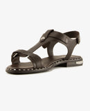 Piper 02 Africa Grey