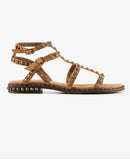 Precious 04 Moka Mou Beige