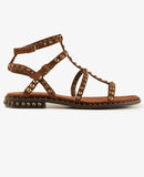 Precious 06 Tajine Brown