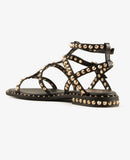 Precious 09 Ariel Gold Black
