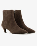 Vicky 02 Africa Grey