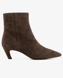 Vicky 02 Africa Grey