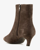 Vicky 02 Africa Grey